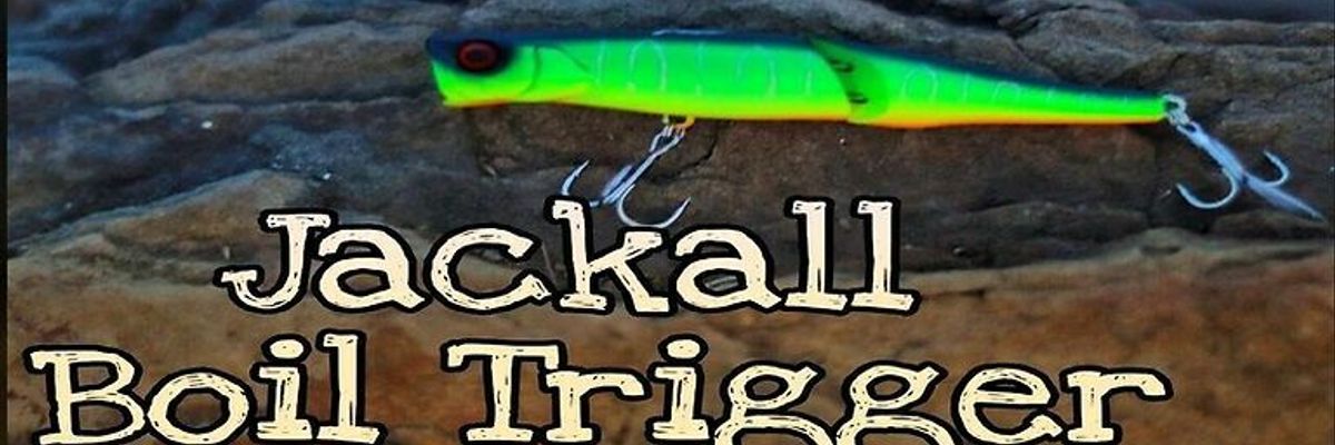 Огляд воблера Jackall Boil Trigger фото