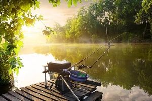 Основні помилки фідериста-початківця фото