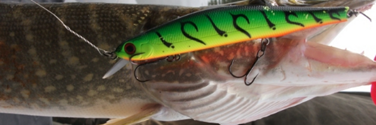 Огляд воблера ZipBaits Orbit (Як правильно відрізнити оригінальний