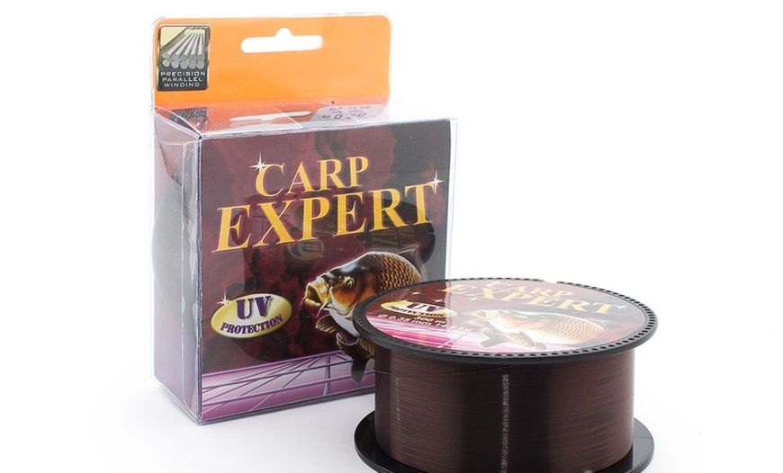 Леска Carp Expert UV 300м 0.20 5.4кг Brown 30119020 фото